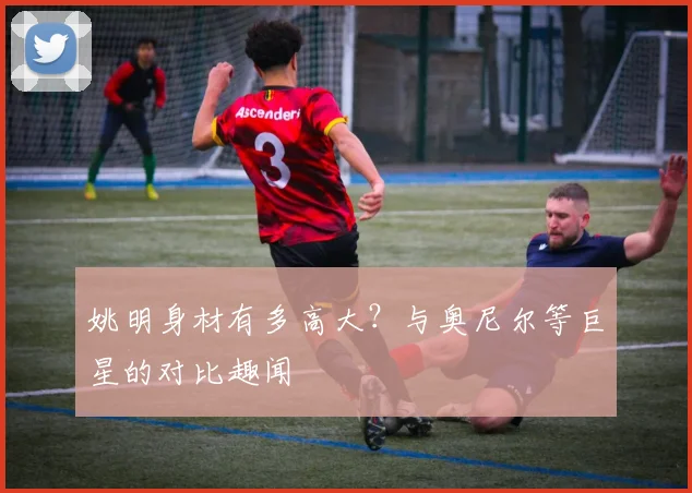 姚明身材有多高大？与奥尼尔等巨星的对比趣闻